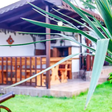 Guest house Chrystal Obzor